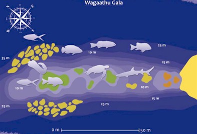 Wagaathu Gala